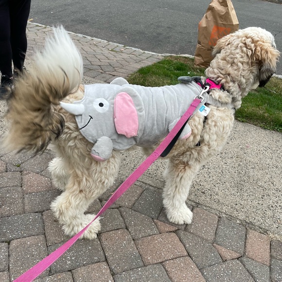 HALLOWEEN Elephant Dog Costume (Booty Suit) - Picture 4 of 5